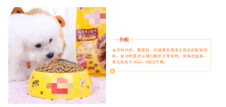 進(jìn)口外貿(mào)代理