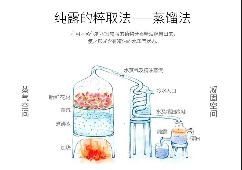 進口外貿(mào)代理