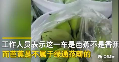 進口外貿(mào)代理