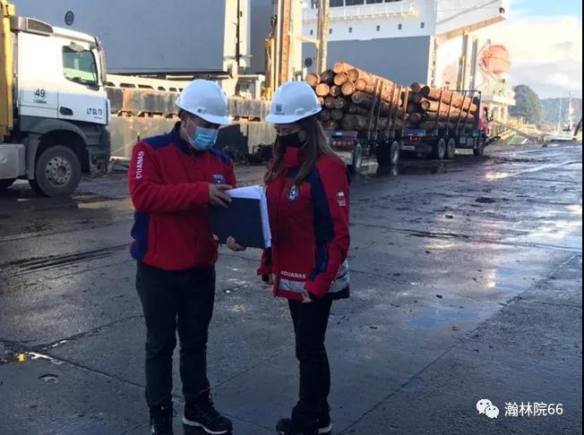 進口外貿(mào)代理