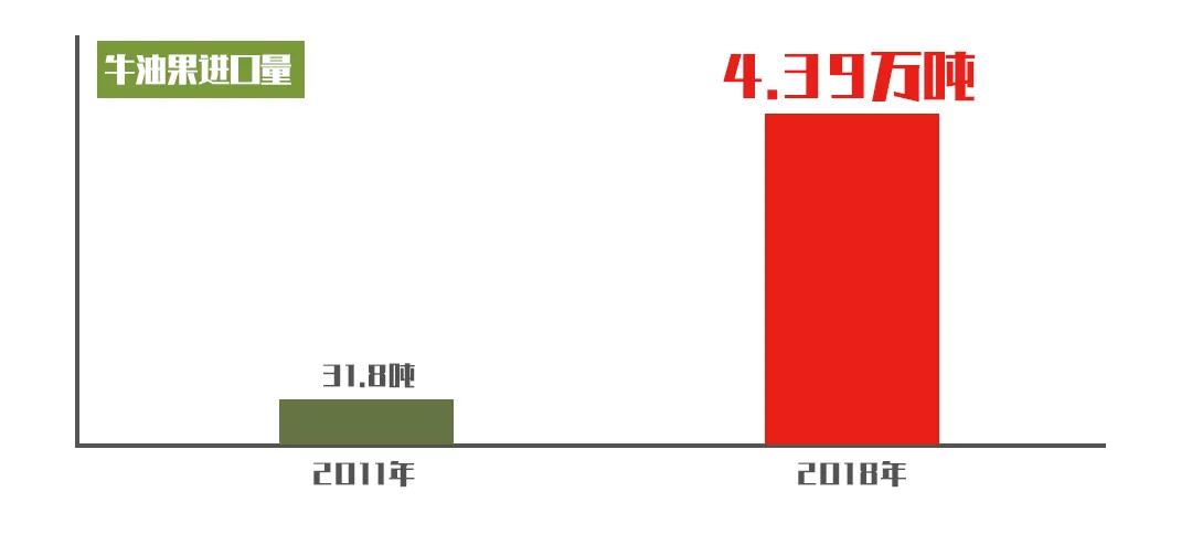 進口外貿(mào)代理