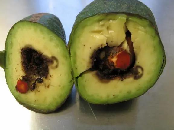 進口外貿(mào)代理