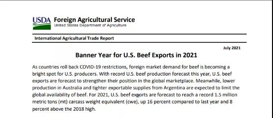 進(jìn)口外貿(mào)代理