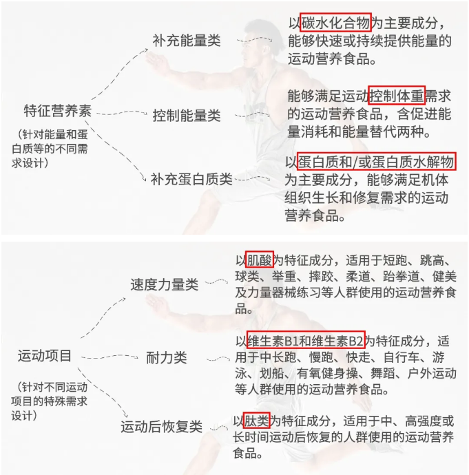 進(jìn)口外貿(mào)代理