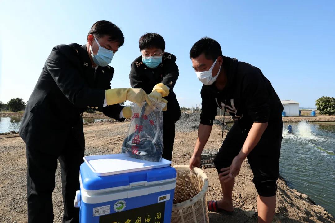 進口外貿(mào)代理