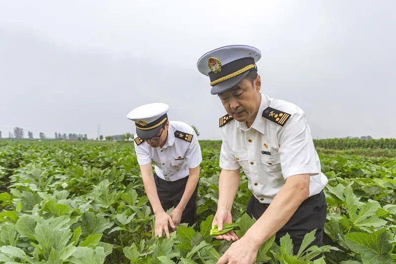 進(jìn)口外貿(mào)代理