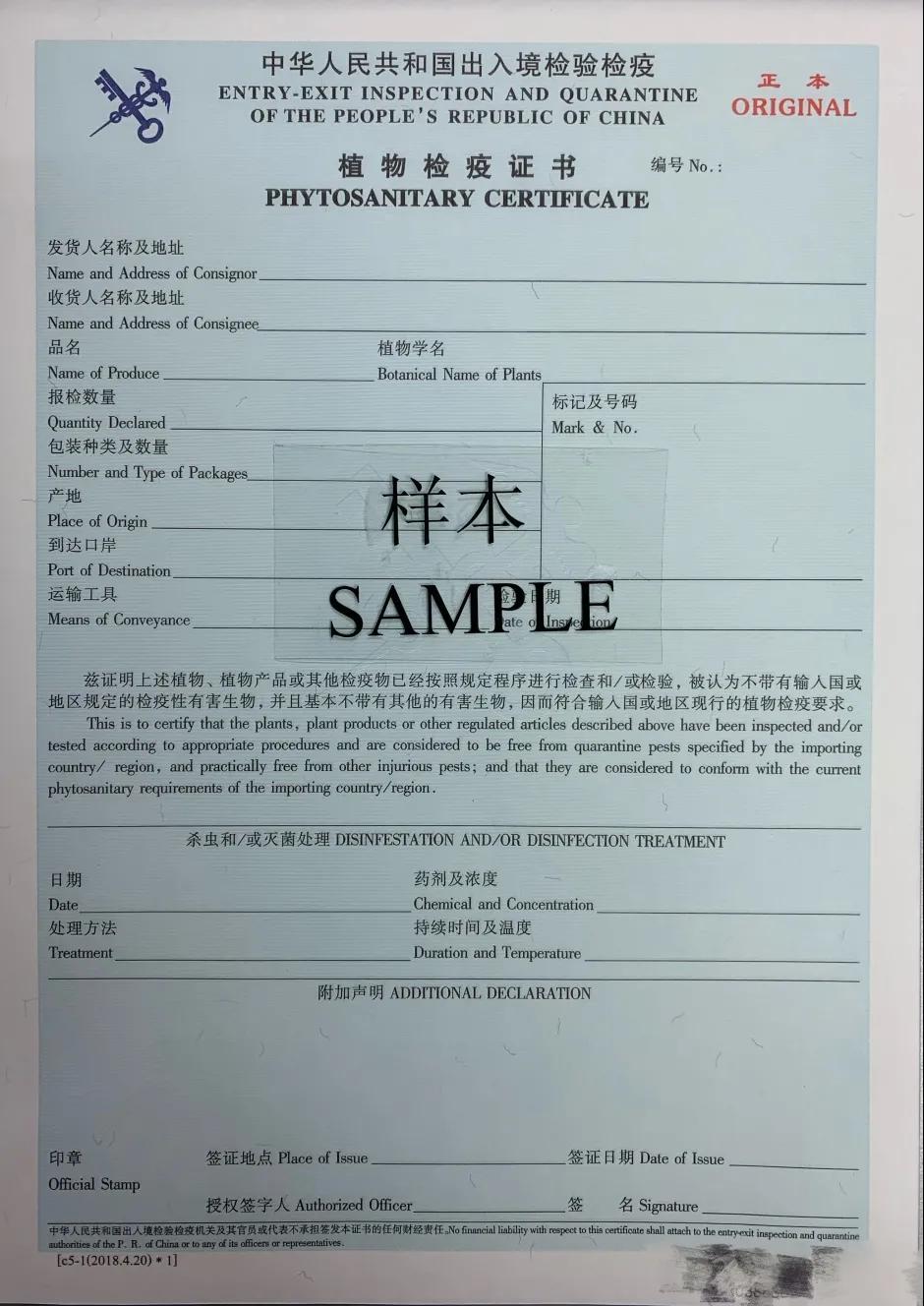 出口外貿(mào)代理