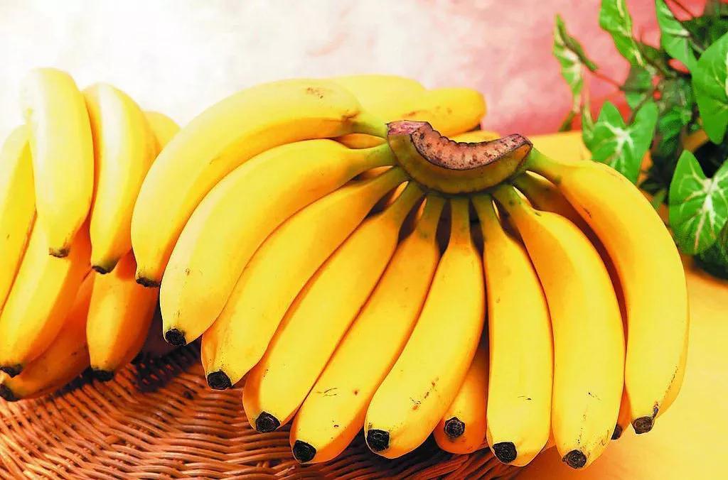 進(jìn)口外貿(mào)代理