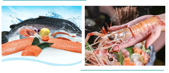 進(jìn)口外貿(mào)代理