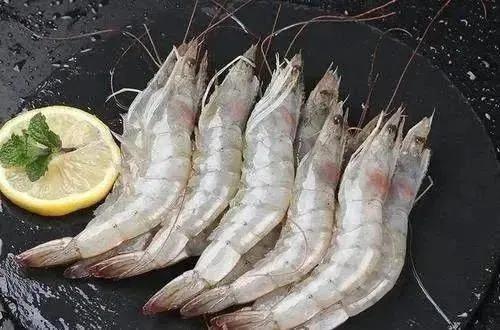 進(jìn)口外貿(mào)代理