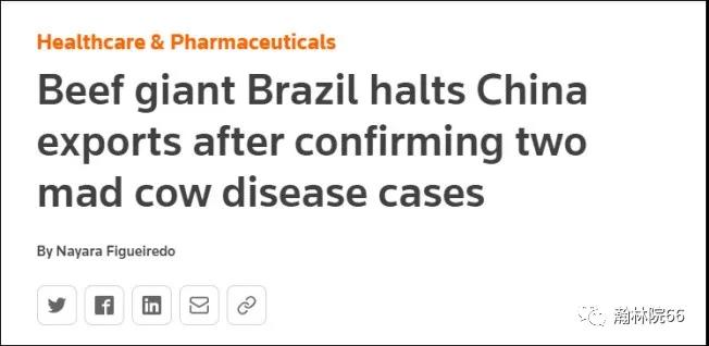 進(jìn)口外貿(mào)代理