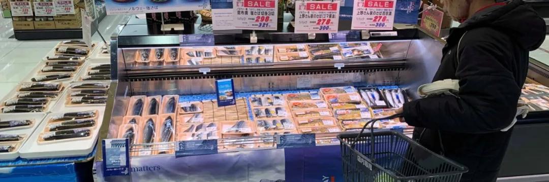 進(jìn)口外貿(mào)代理