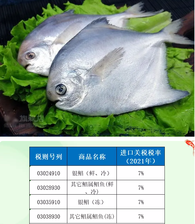 進(jìn)口外貿(mào)代理