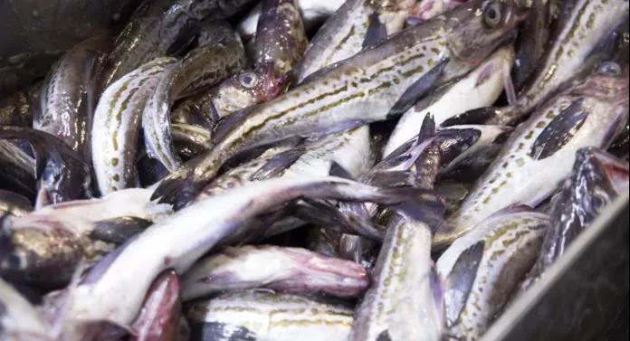 進口外貿(mào)代理