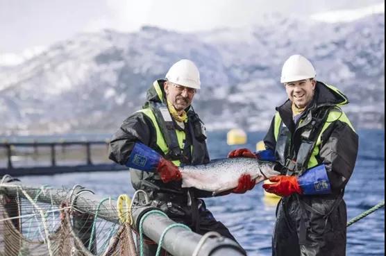 進(jìn)口外貿(mào)代理