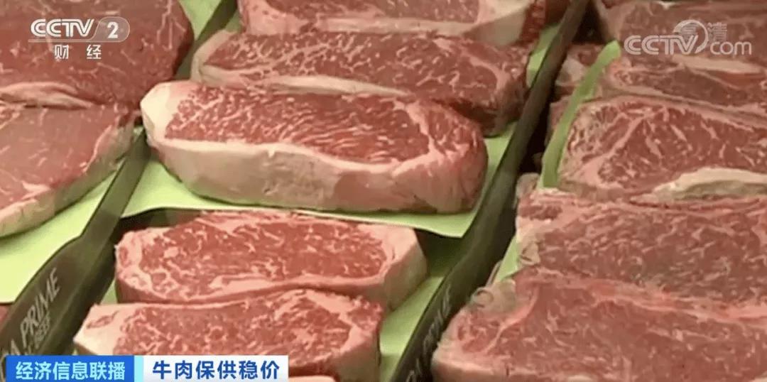 進(jìn)口外貿(mào)代理