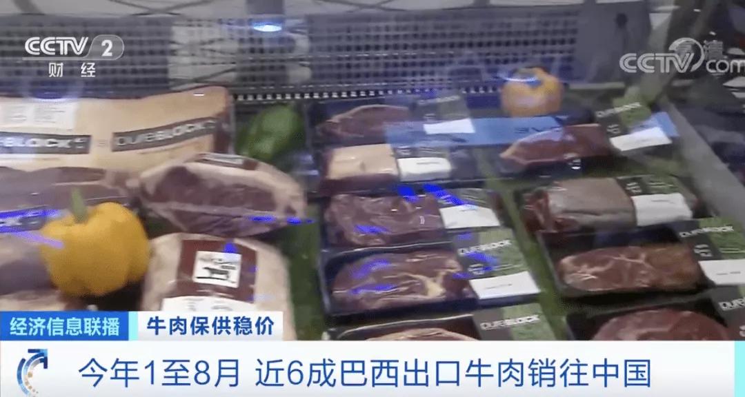 進(jìn)口外貿(mào)代理