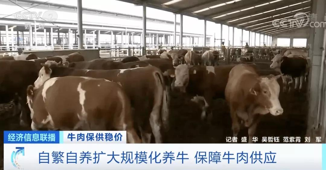 進(jìn)口外貿(mào)代理