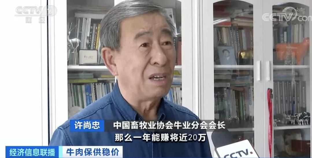 進(jìn)口外貿(mào)代理