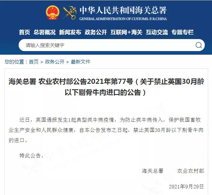 進(jìn)口外貿(mào)代理