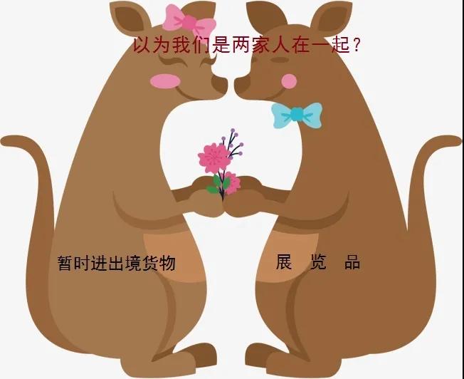 進口外貿(mào)代理