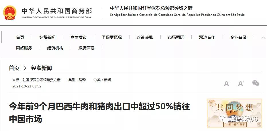 進(jìn)口外貿(mào)代理