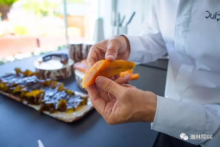 進口外貿(mào)代理