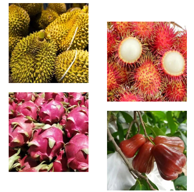 進(jìn)口外貿(mào)代理