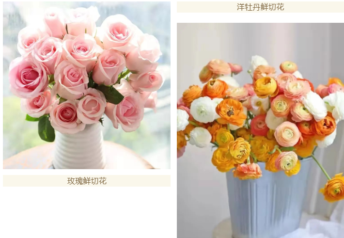 進口外貿(mào)代理