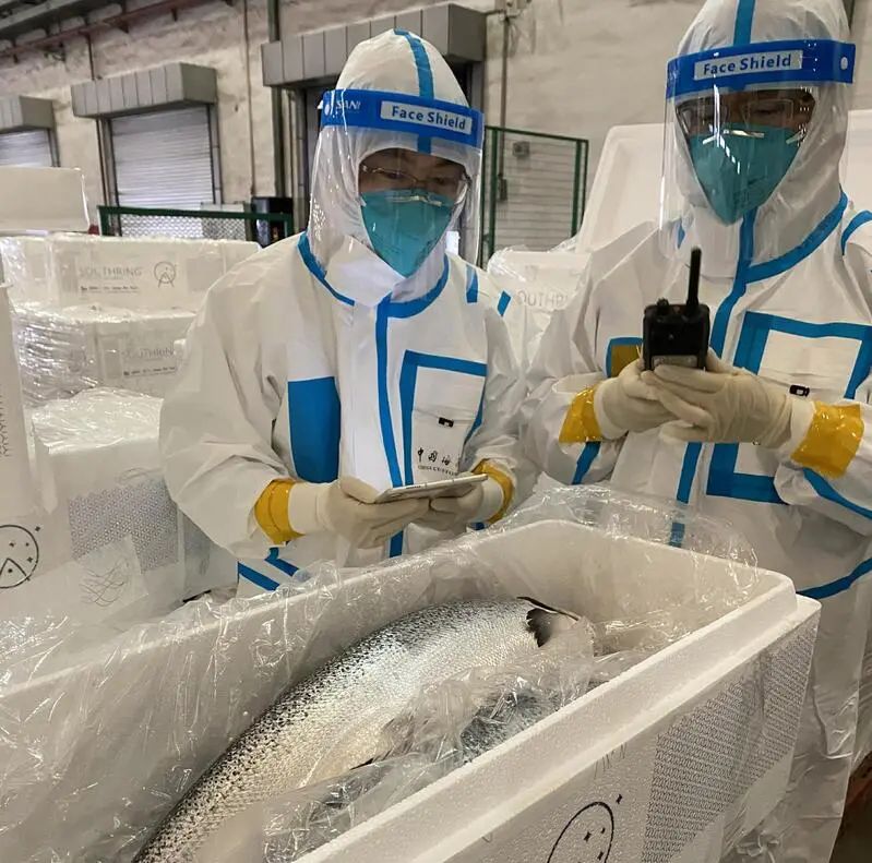 進口外貿(mào)代理