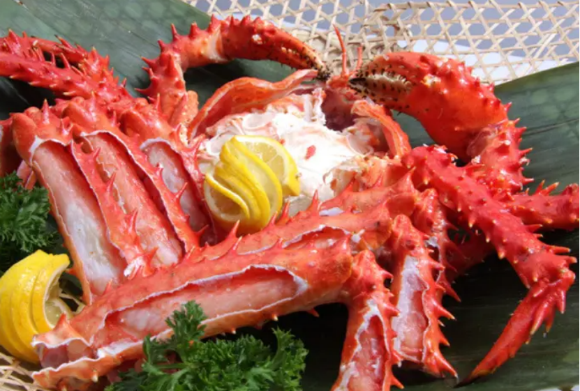 進口外貿(mào)代理