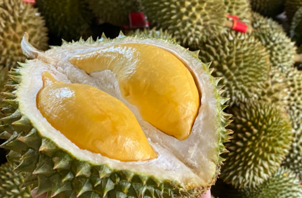 進(jìn)口外貿(mào)代理