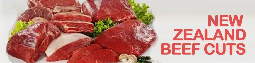 進口外貿(mào)代理