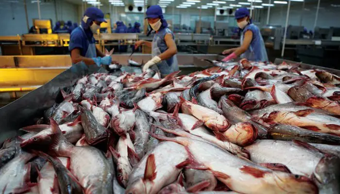 進口外貿(mào)代理