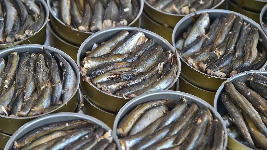 出口外貿(mào)代理