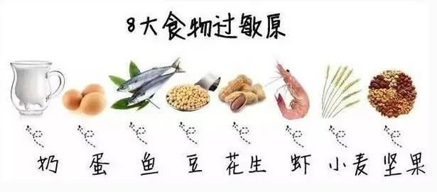 進(jìn)口外貿(mào)代理