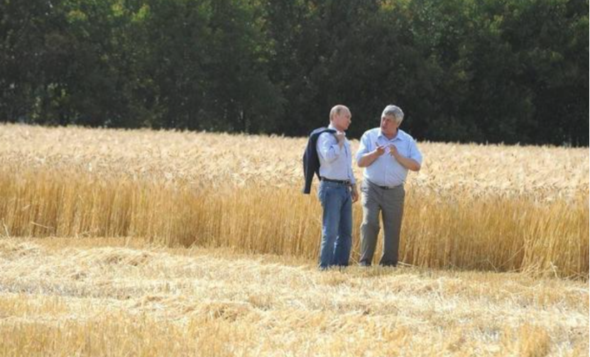 進口外貿(mào)代理