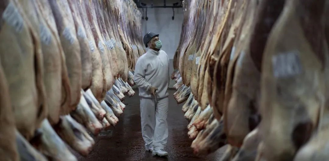 進(jìn)口外貿(mào)代理