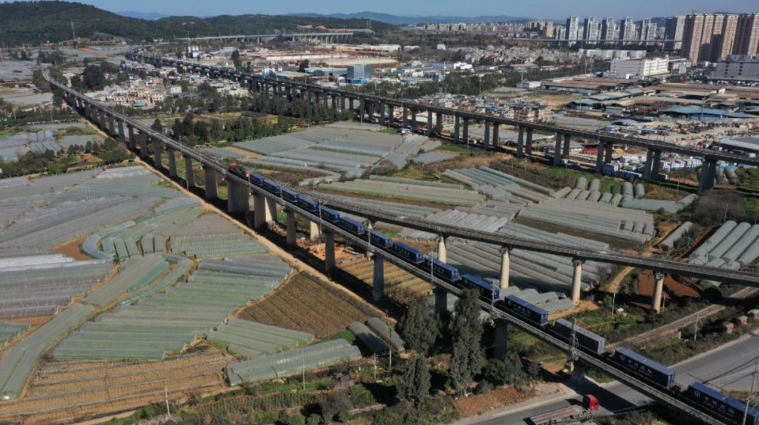 進口外貿(mào)代理