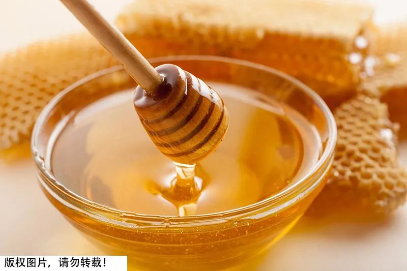 進(jìn)口外貿(mào)代理