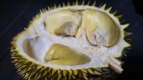 進(jìn)口外貿(mào)代理