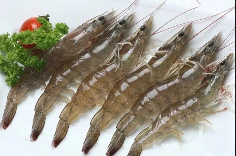 生鮮進(jìn)口外貿(mào)代理