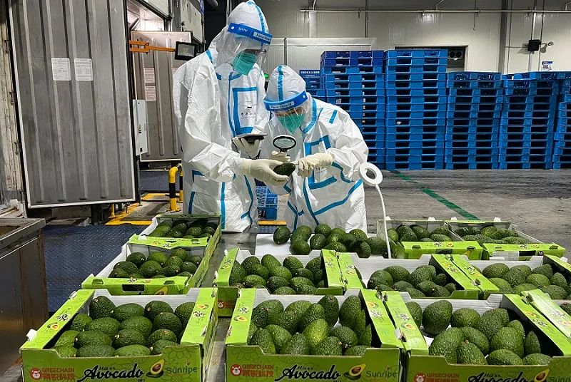 進(jìn)口外貿(mào)代理