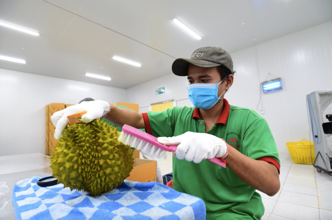 進(jìn)口外貿(mào)代理