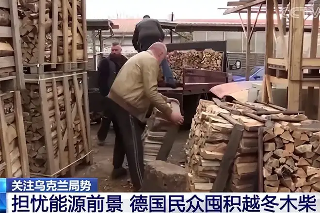 出口外貿(mào)代理