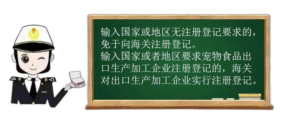 出口外貿(mào)代理