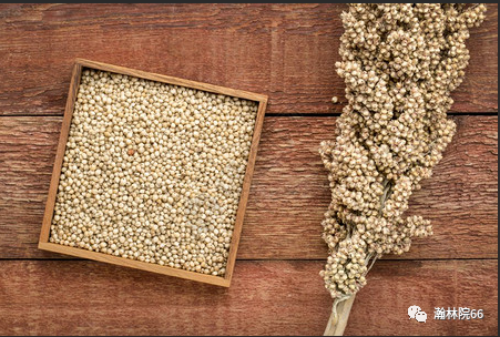 進(jìn)口外貿(mào)代理