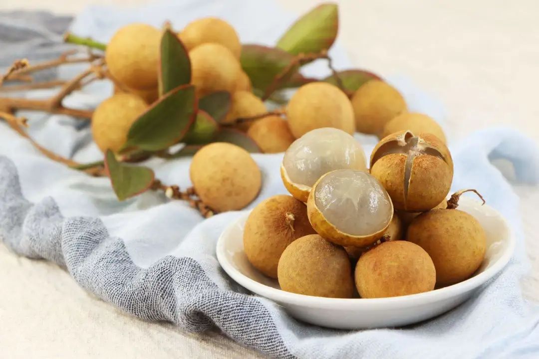 進(jìn)口外貿(mào)代理