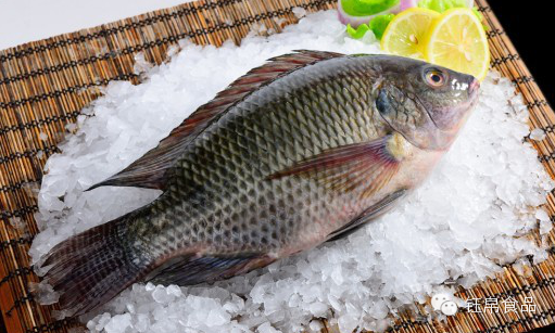 進口外貿(mào)代理