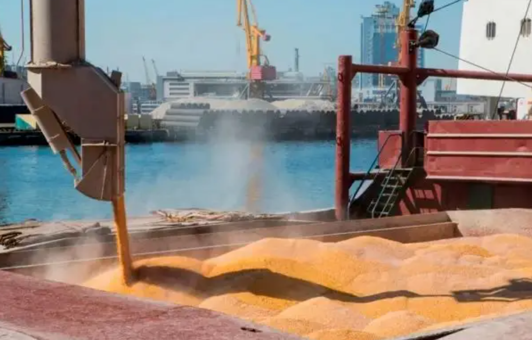 進(jìn)口外貿(mào)代理